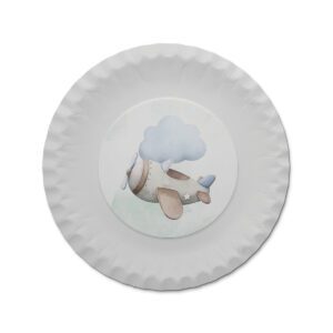 Tanjirići avion - Slika 2