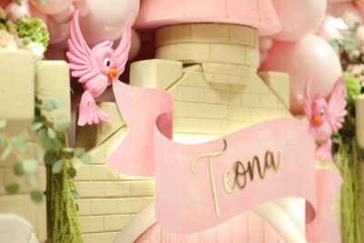 Dekoracija za Prvi Rođendan - Pepeljuga