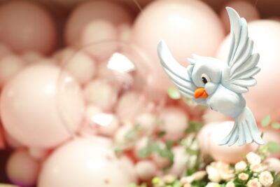 Dekoracija za Prvi Rođendan - Pepeljuga