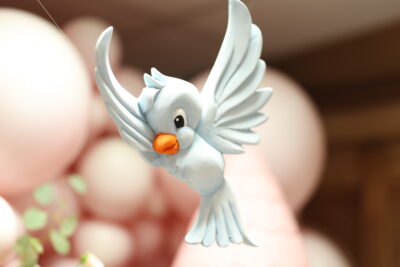 Dekoracija za Prvi Rođendan - Pepeljuga