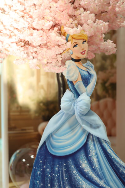 Dekoracija za Prvi Rođendan - Pepeljuga