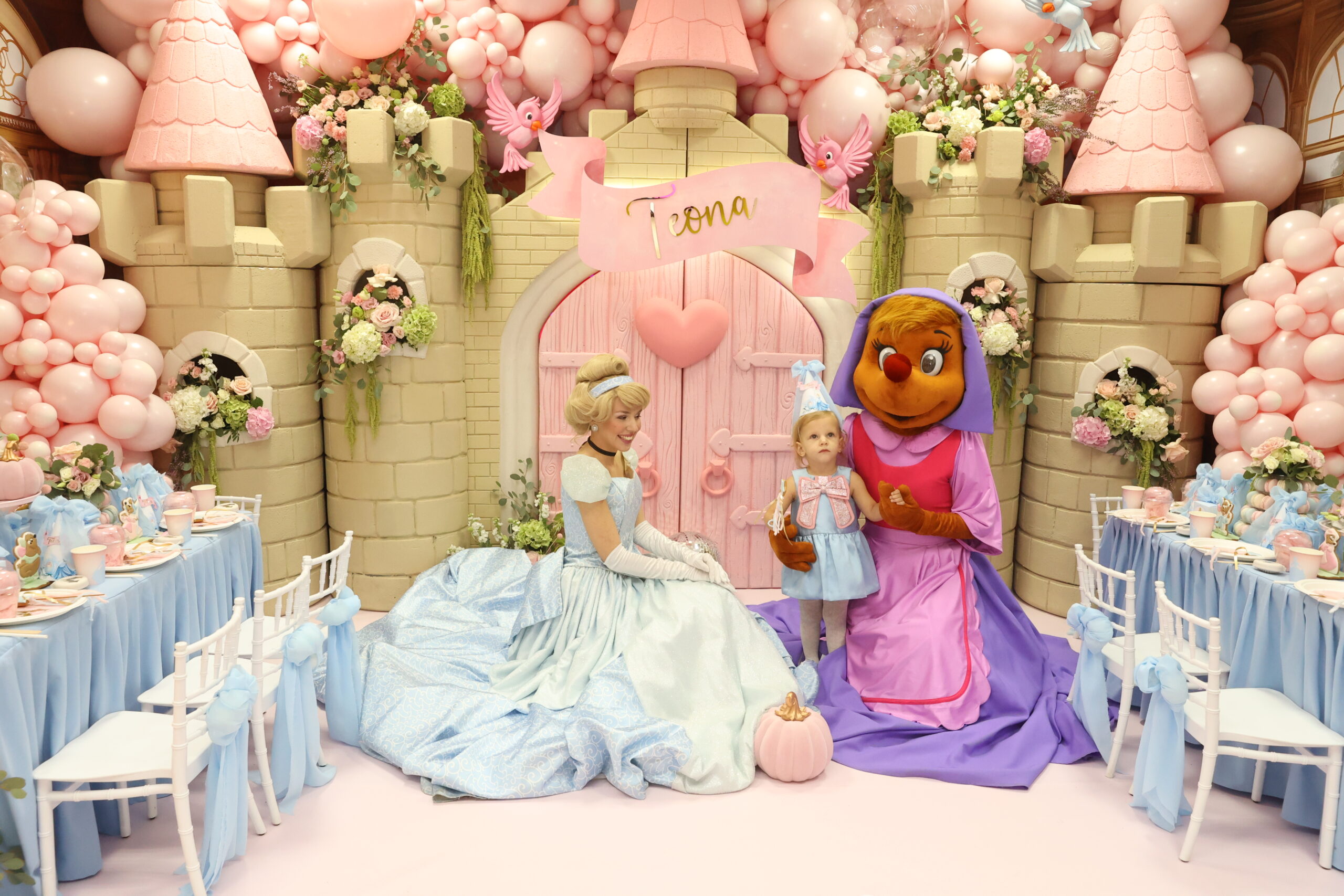 Dekoracija za Prvi Rođendan - Pepeljuga