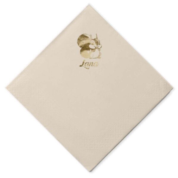 Salvete_0027_veverica_Salvete mockup