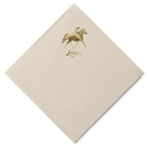 Salvete_0086_konj_Salvete mockup