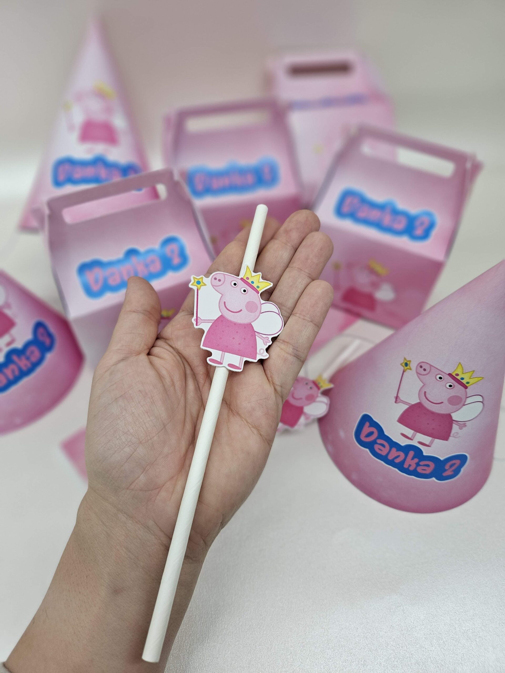 Party Oprema Pepa Prase