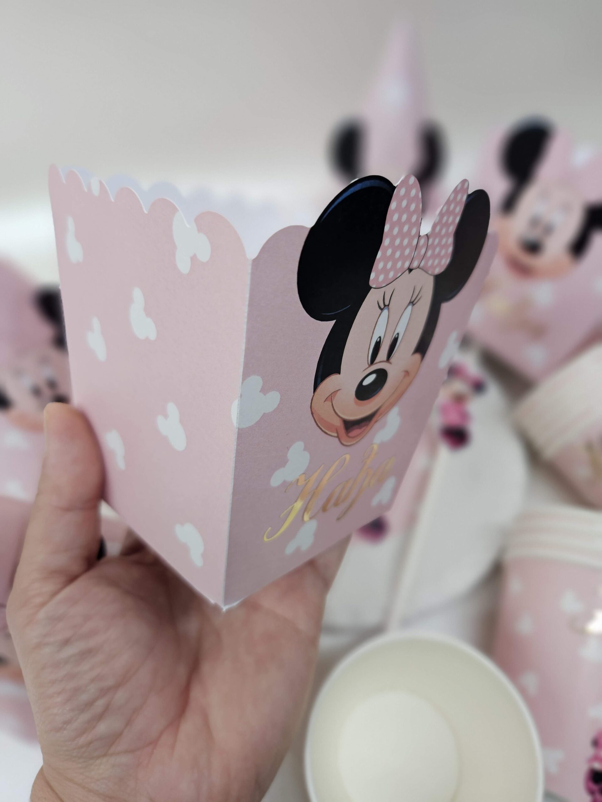 Party Oprema Minnie Mouse