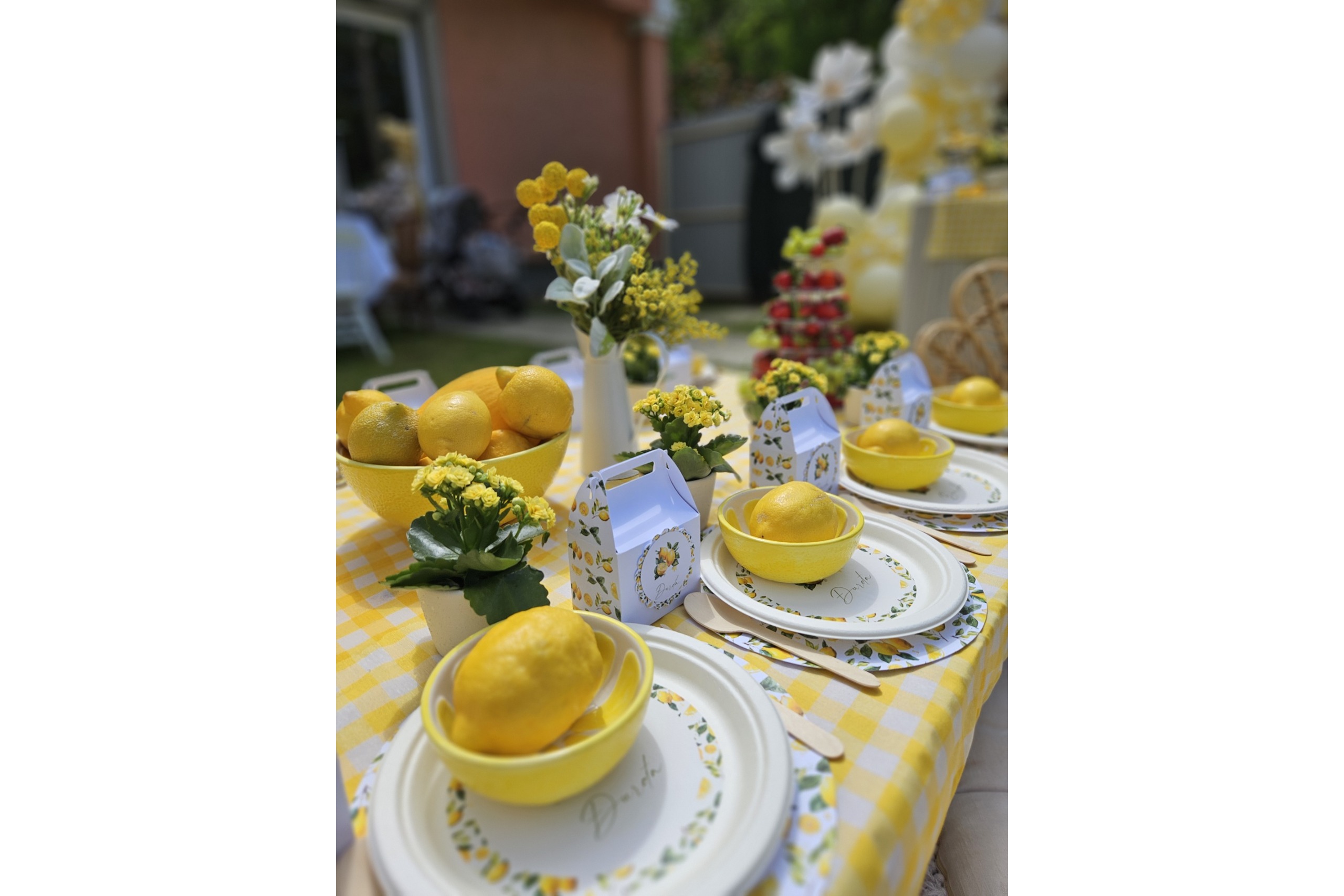 Dekoracija za Rođendan - Limun