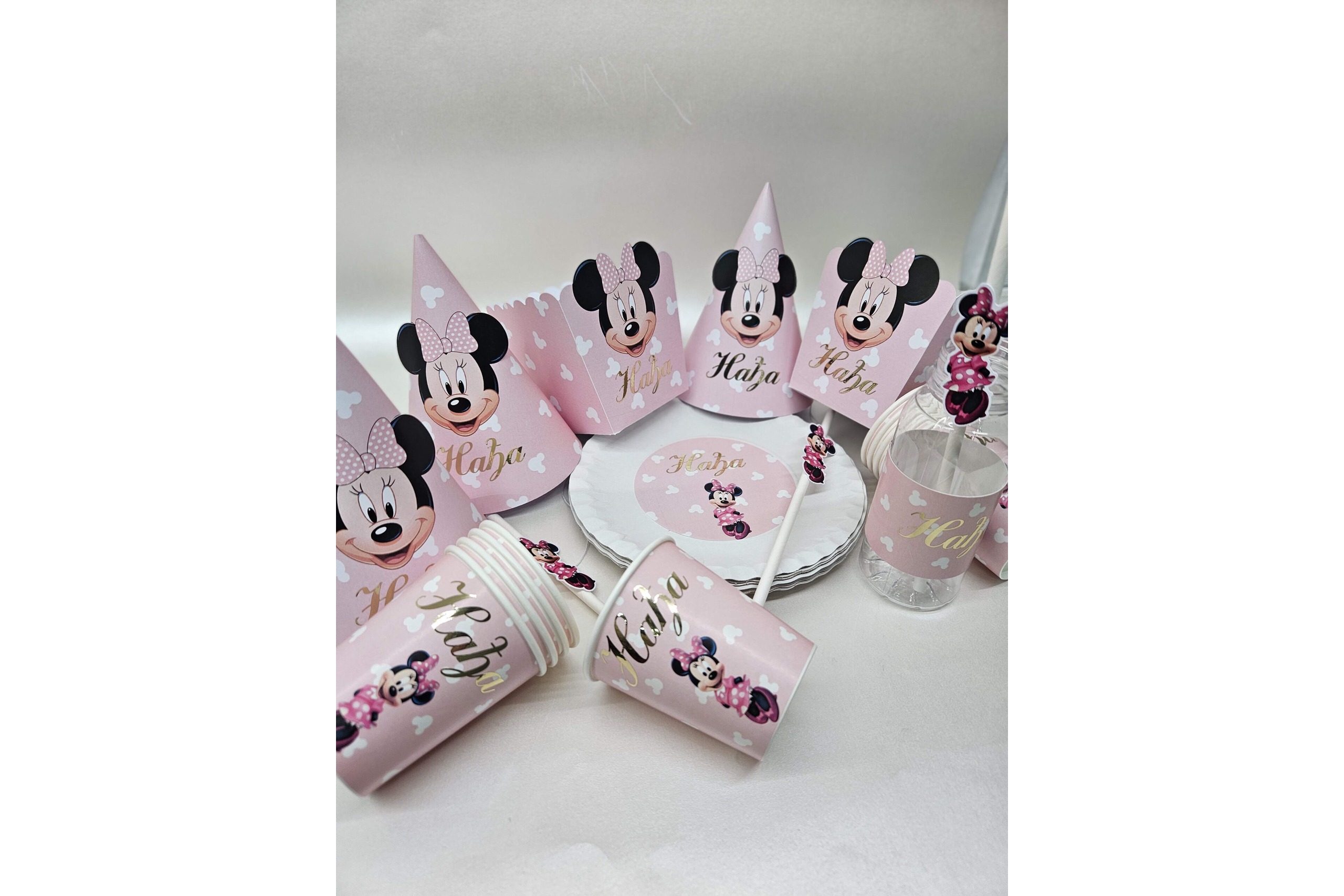 Party Program Minnie Mause