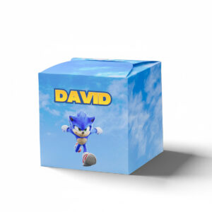 Kutija kockica Sonik Tejls