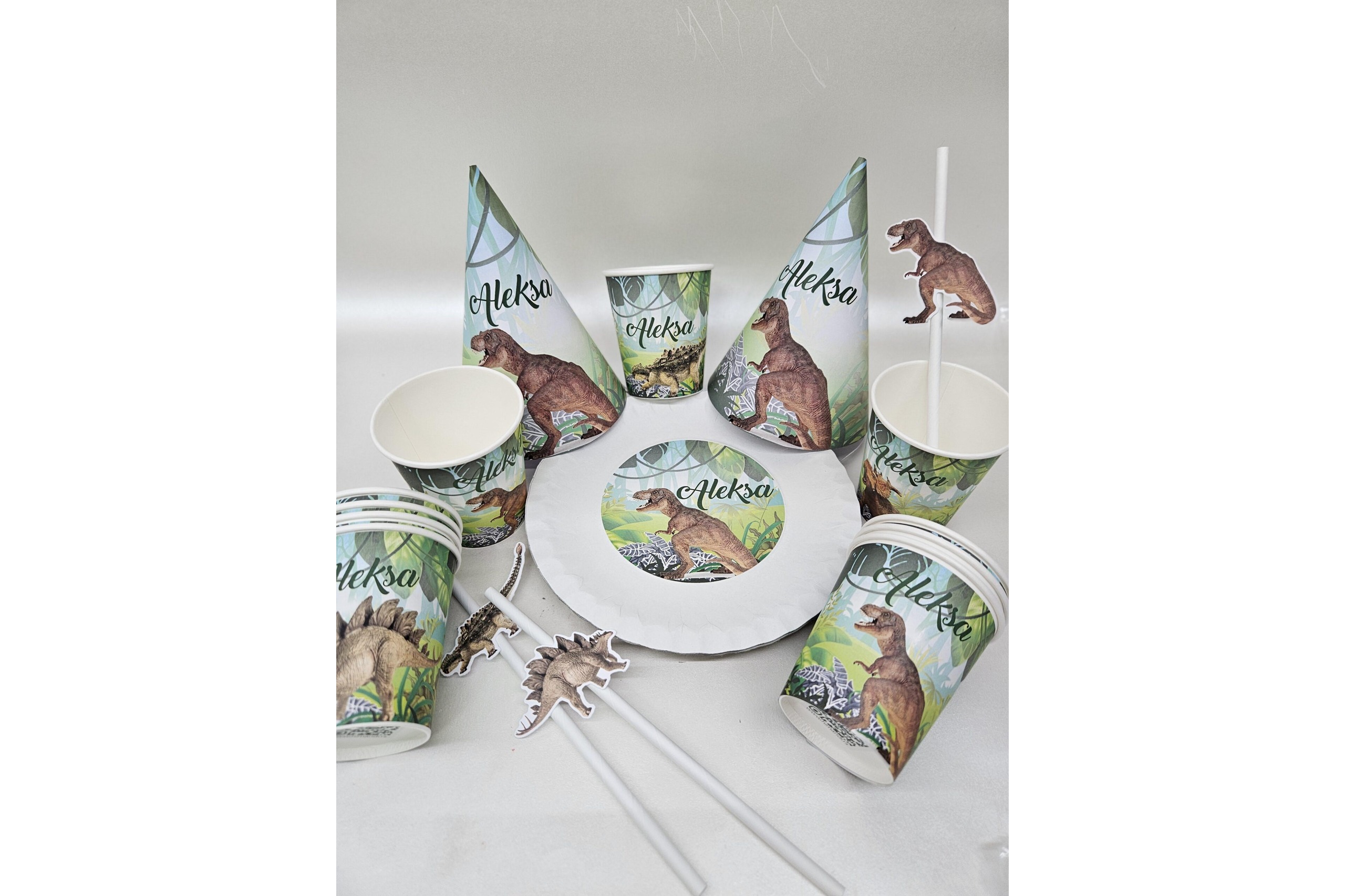 Party Program Dinosaurusi