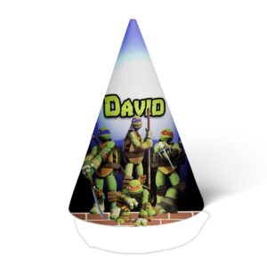 Kapica Nindža Kornjače