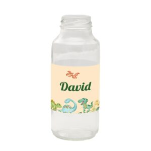 Omoti za flašice Dino 1