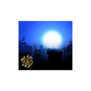 Podmetač Nindža Kornjače