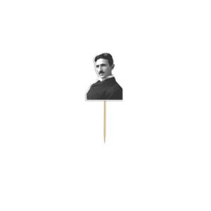 Toper Nikola Tesla